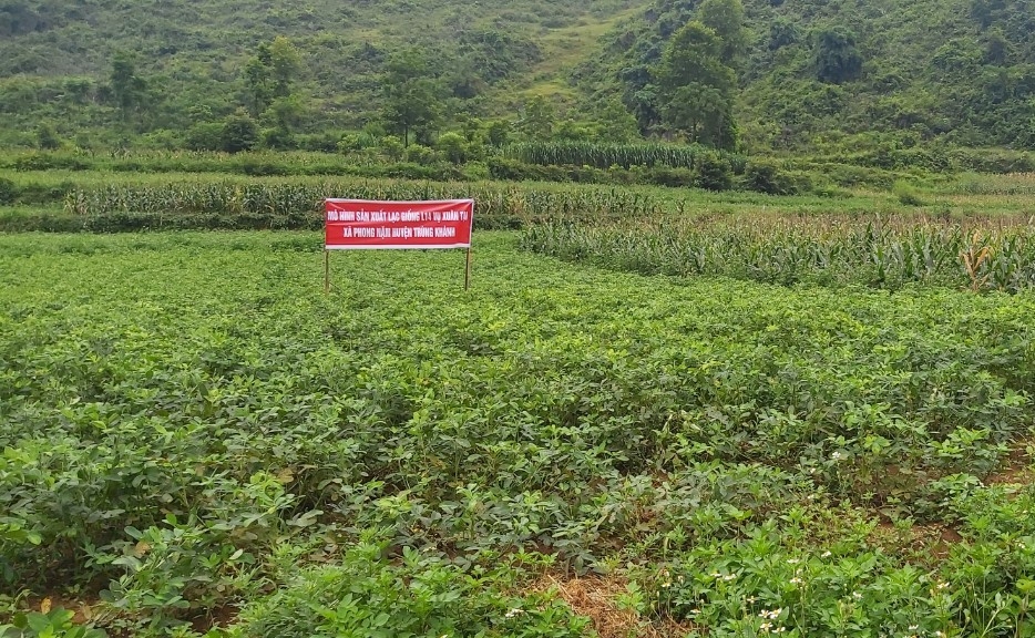 Nhìn Ra Tòa Nhà Thành Phố Ở Trùng Khánh Trung Quốc Hình ảnh Sẵn có  Tải  xuống Hình ảnh Ngay bây giờ  Cao  Mô tả vật lý Chongqing Châu Á  iStock