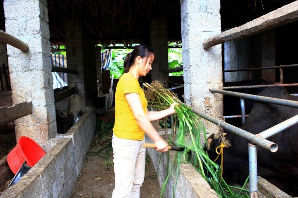 60 mô hình sản phẩm tham gia Cuộc thi Sáng tạo thanh thiếu niên nhi đồng  huyện Trùng Khánh năm 2022