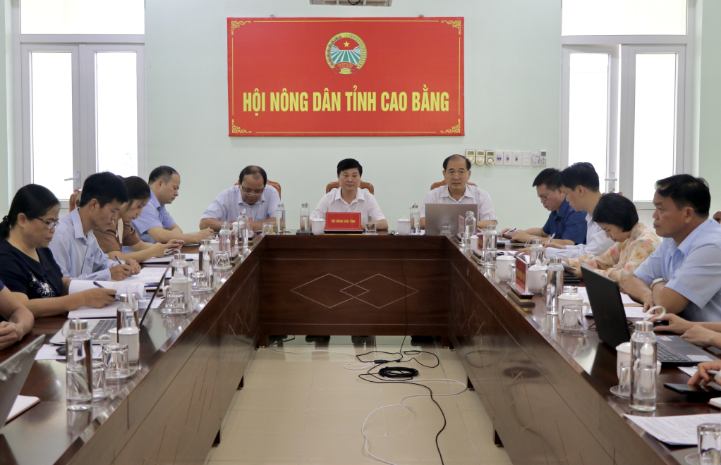 Các đại biểu dự hội thảo tại điểm cầu Cao Bằng.