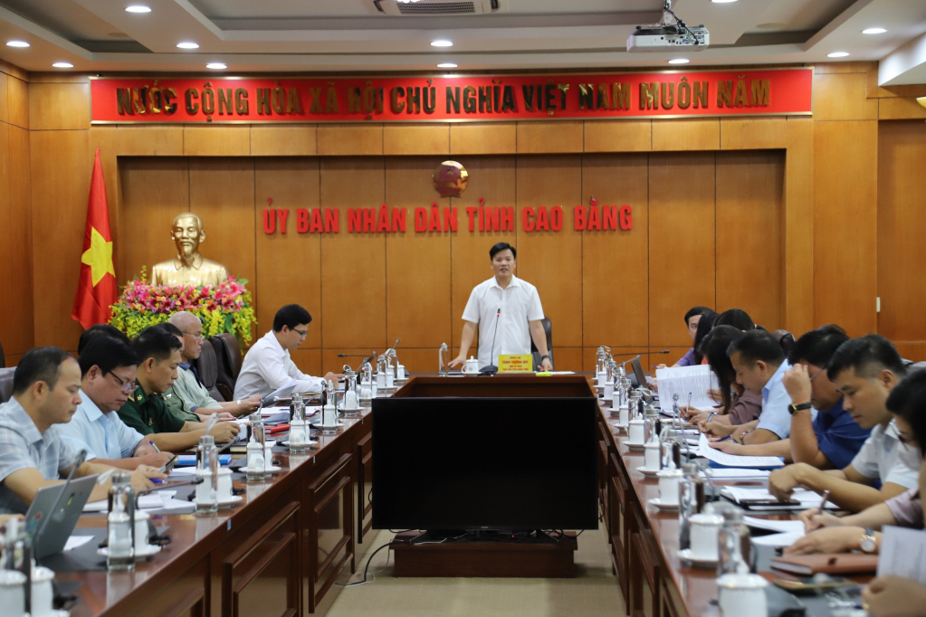 Đồng chí Trịnh Trường Huy, Phó Chủ tịch UBND tỉnh phát biểu tại cuộc họp. 