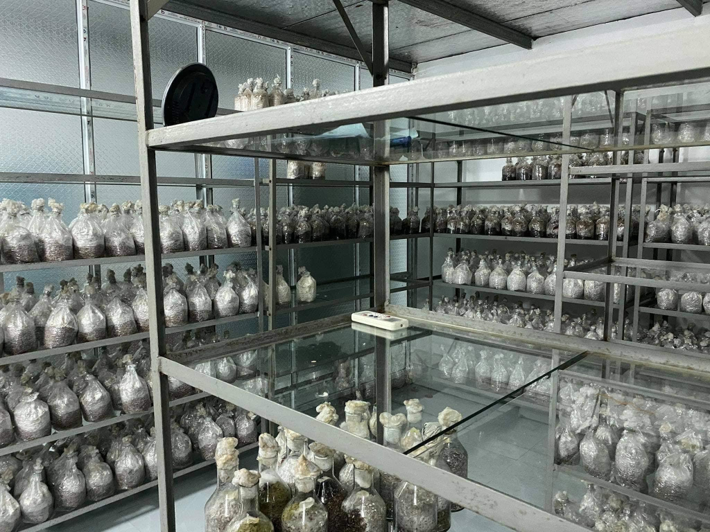 Phòng ươm giống tại Cơ sở sản xuất Trúc Mai, xóm Hồng Quang 2, xã Hưng Đạo (Thành phố).
