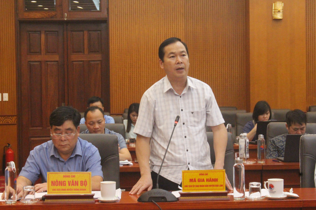 Chủ tịch UBND huyện Bảo Lâm phát biểu 