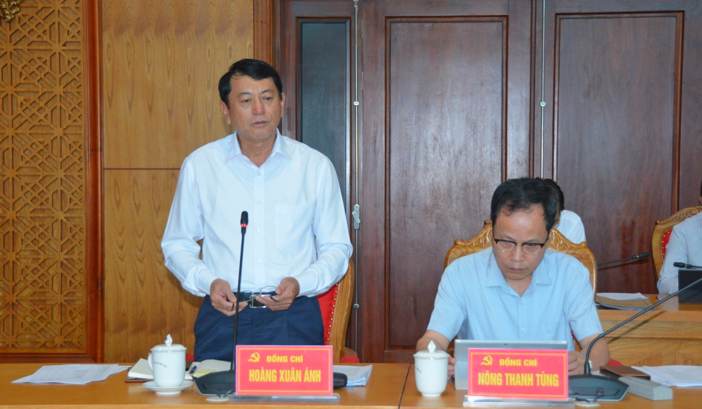 Đồng chí Hoàng Xuân Ánh, Phó Bí thư Tỉnh ủy, Chủ tịch UBND tỉnh phát biểu tại cuộc họp.