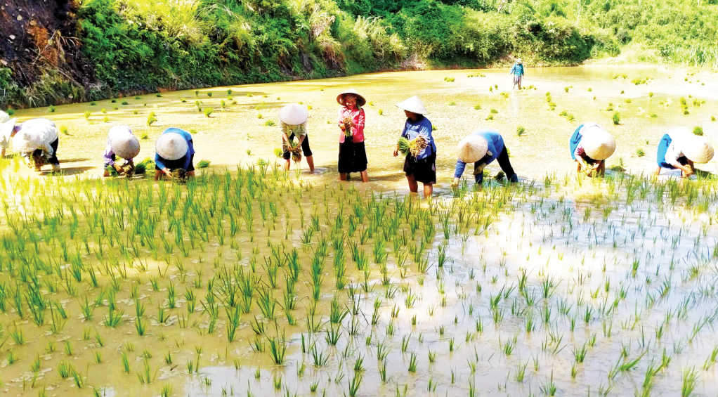 Cày Cấy – Nền Tảng Văn Hóa và Phát Triển Bền Vững trong Nông Nghiệp