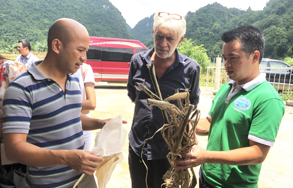 Ông Guy Martini, chuyên gia cao cấp, Chủ tịch Hội đồng mạng lưới Công viên địa chất Toàn cầu UNESCO kiểm tra bản Dìa Trên, xã Phúc Sen (Quảng Hòa) phát triển nghề làm giấy bản từ bảo tồn cây nguyên liệu dưới tán rừng.