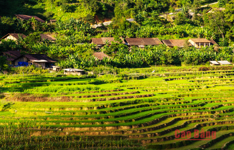 https://mediabcb.mediatech.vn/upload/image/202409/medium/126319_126308_lang_du_lich_cong_dong_hoai_khao_xa_quang_thanh_nguyen_binh_gan_voi_cac_nghe_thu_cong_truyen_thong_14501220_15581320.png