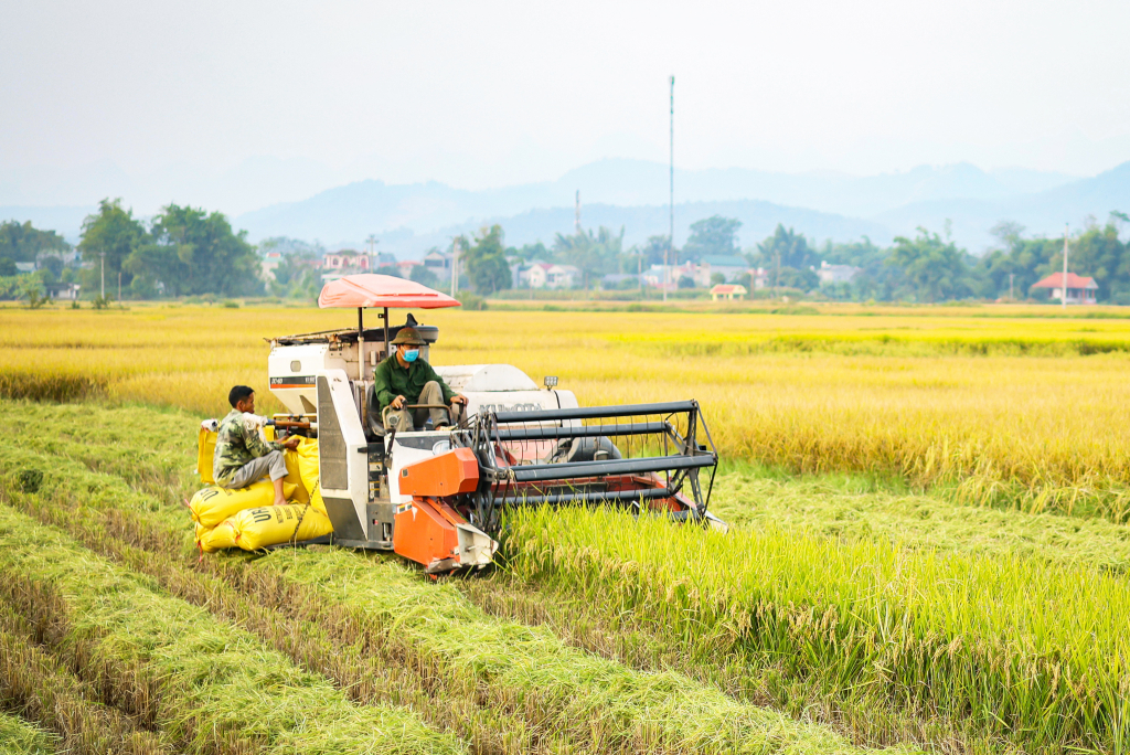 Năm 2025, phấn đấu đạt các chỉ tiêu KT - XH như: Tốc độ tăng sản phẩm trên địa bàn (GRDP) đạt 8%; GRDP bình quân đạt 60 triệu đồng; giá trị sản phẩm trồng trọt, nuôi trồng thủy sản trên 1 đơn vị diện tích (ha) đạt 50 triệu đồng