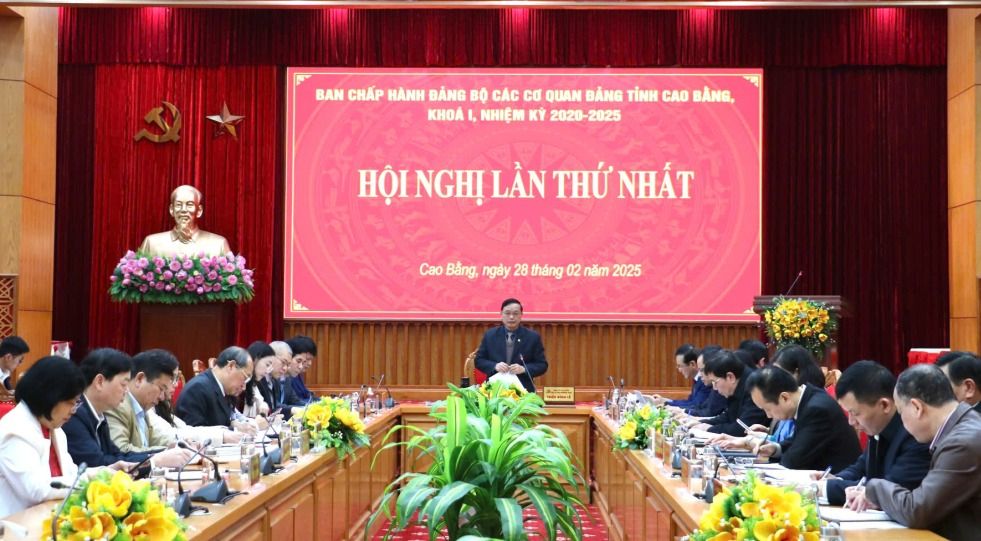 Bí thư Đảng ủy các cơ quan Đảng tỉnh Triệu Đình Lê kết luận hội nghị.