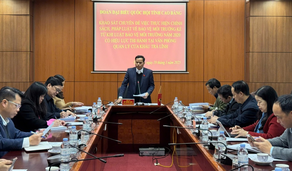 Phó Trưởng đoàn chuyên trách Đoàn đại biểu Quốc hội tỉnh Bế Minh Đức phát biểu kết luận buổi giám sát.