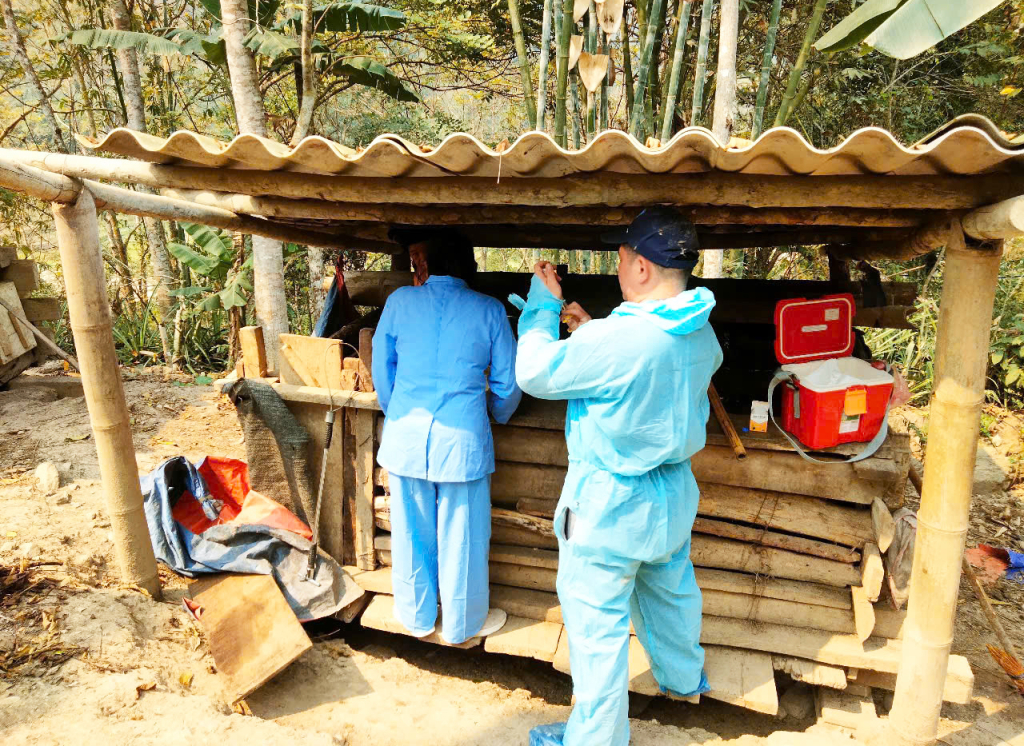 Cán bộ Trung tâm Dịch vụ nông nghiệp huyện Bảo Lâm triển khai công tác tiêm phòng dịch tả lợn châu Phi tại xã Vĩnh Quang.