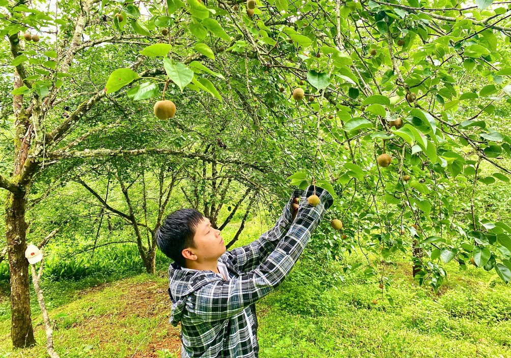 Mở hướng phát triển nông nghiệp sạch, an toàn, bền vững