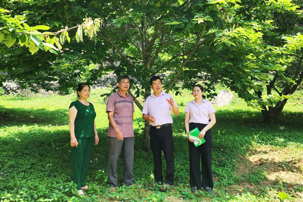 Nguồn vốn chính sách đồng hành cùng người dân vùng cao thoát nghèo